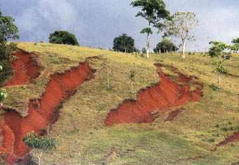 Erosion läßt Berghänge rutschen